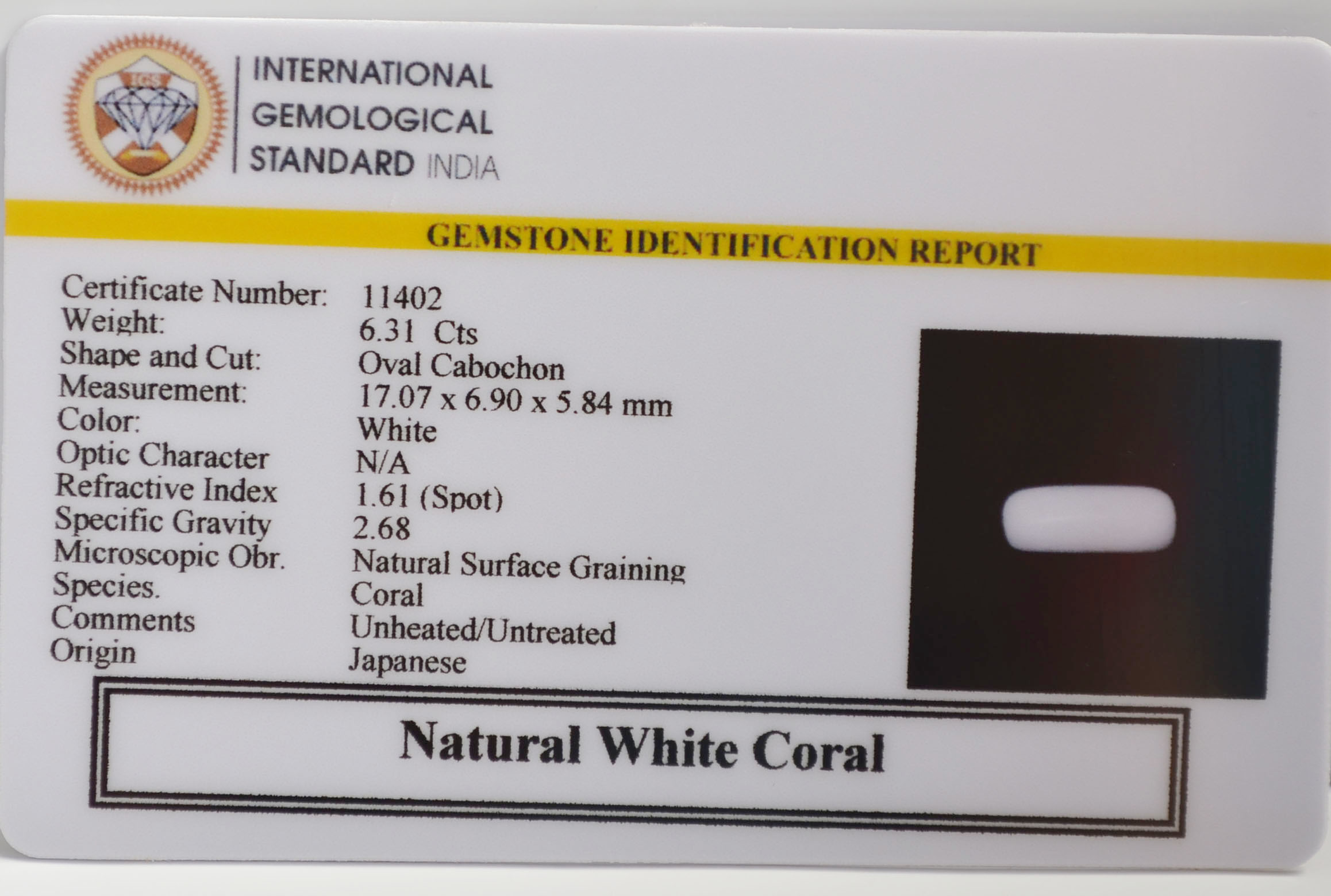 WC428 2 WHITE CORAL 6.31 Ct.