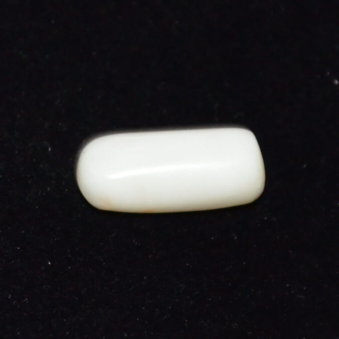 WC429 1 WHITE CORAL 6.24 Ct.