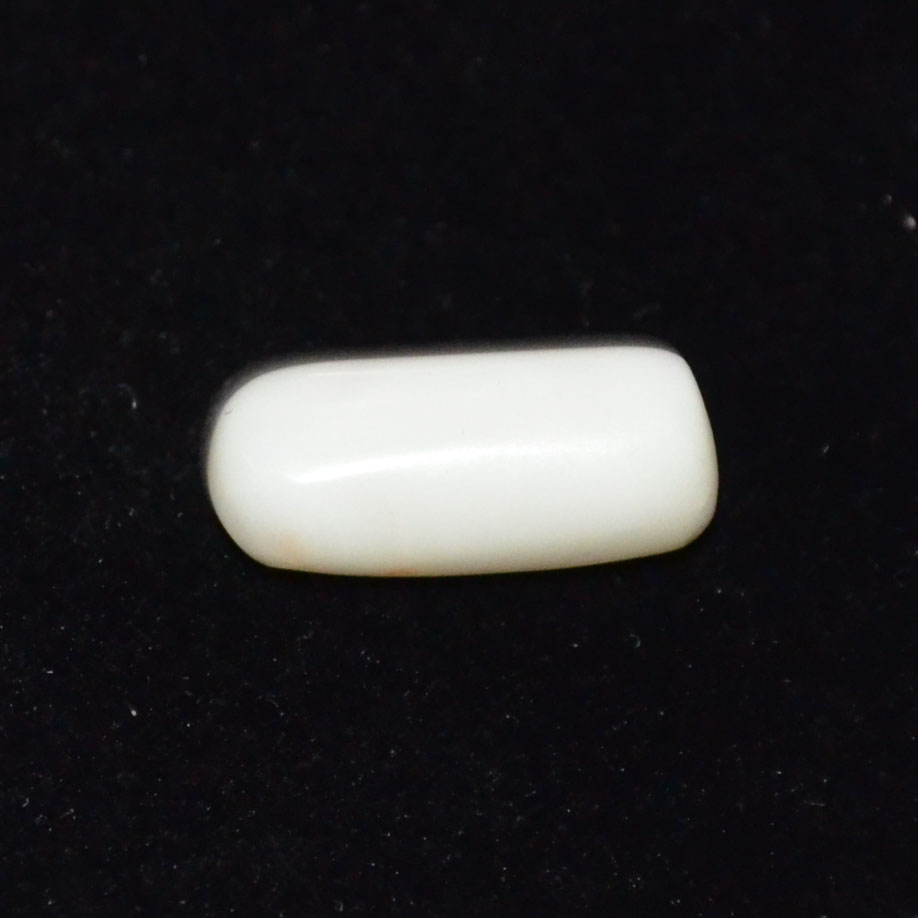 WHITE CORAL 6.24 Ct.