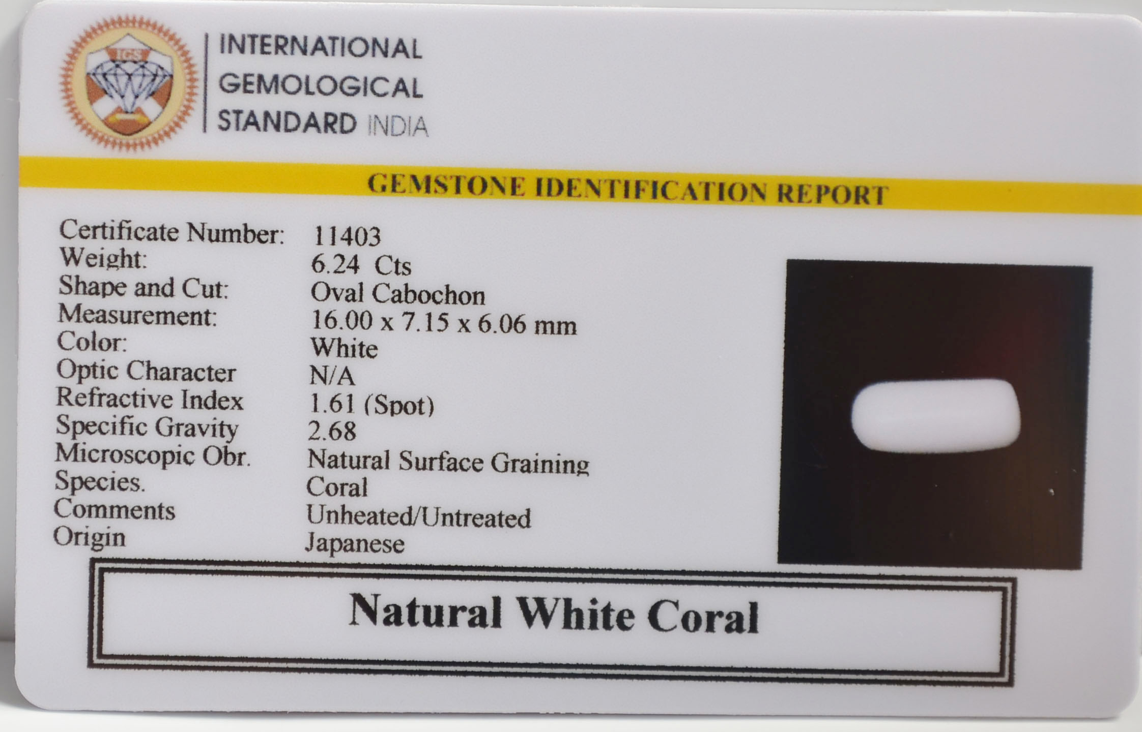 WC429 2 WHITE CORAL 6.24 Ct.
