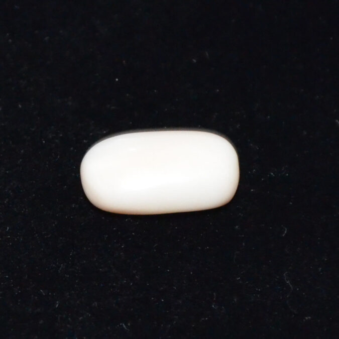 WHITE CORAL 4.82 Ct. 1 WC431 1 WHITE CORAL 4.82 Ct.