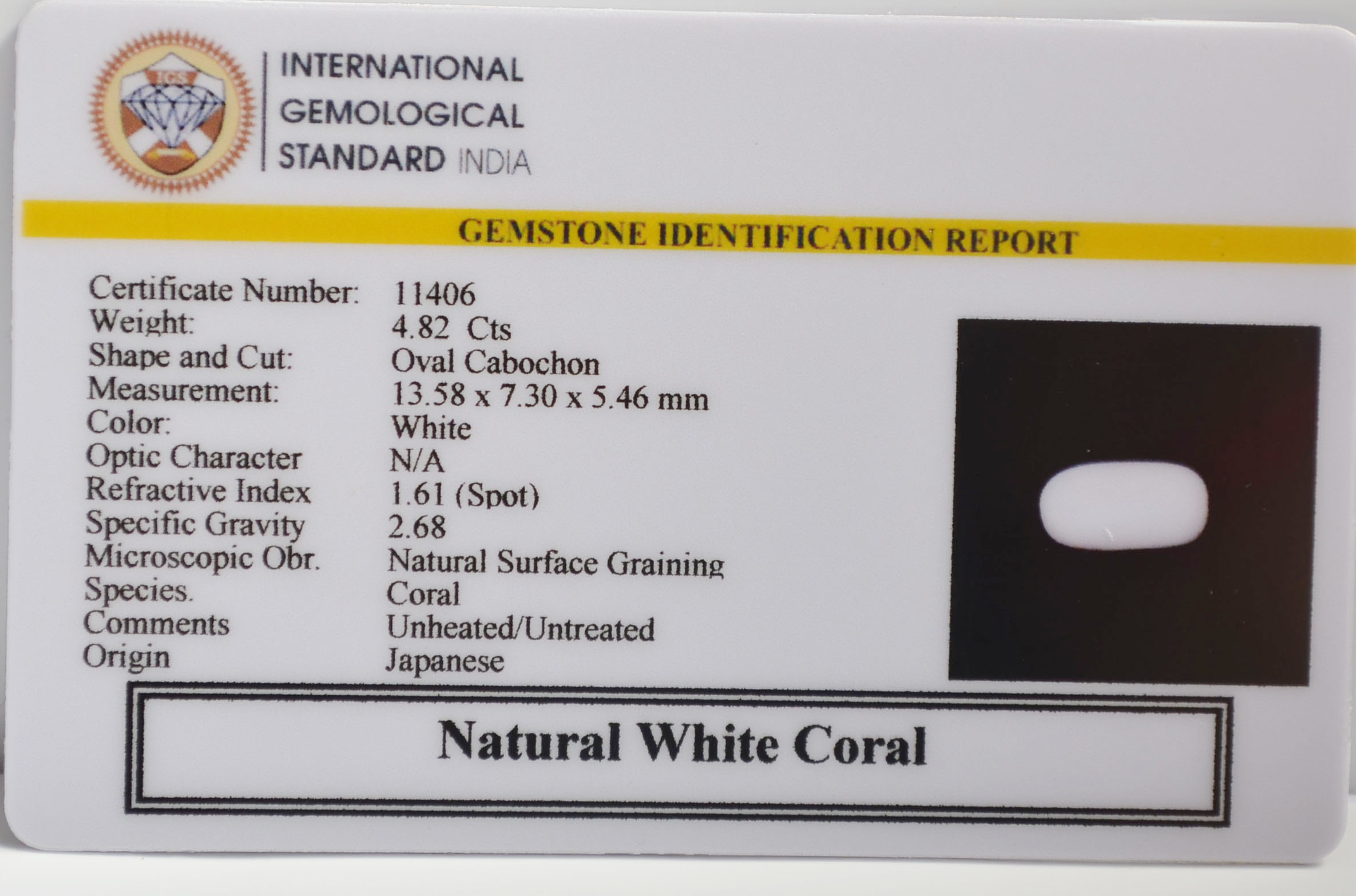 WHITE CORAL 4.82 Ct. 3 WC431 2 WHITE CORAL 4.82 Ct.