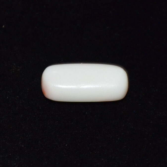 WC432 1 WHITE CORAL 7.88 Ct.