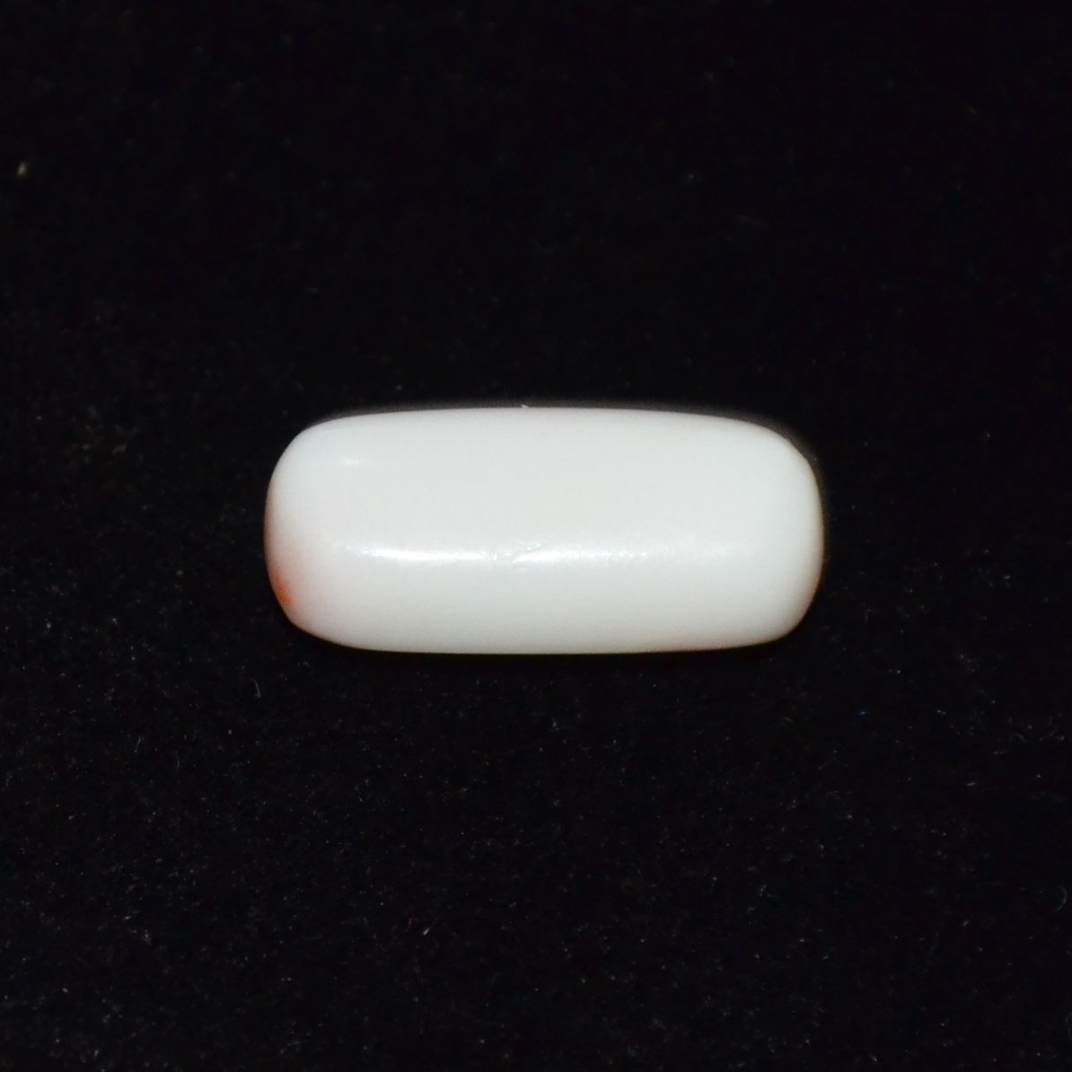 WHITE CORAL 7.88 Ct.