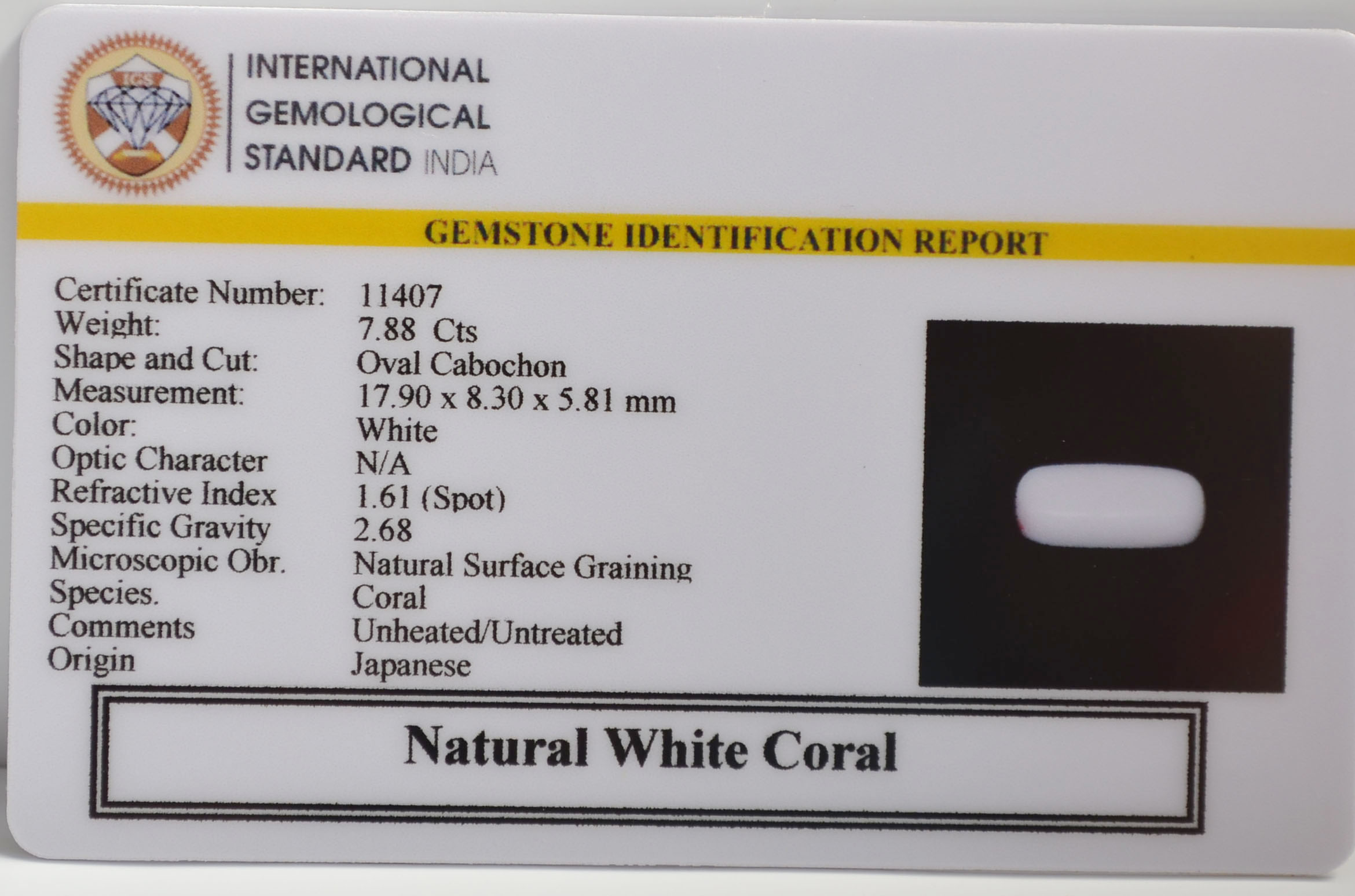 WC432 2 WHITE CORAL 7.88 Ct.