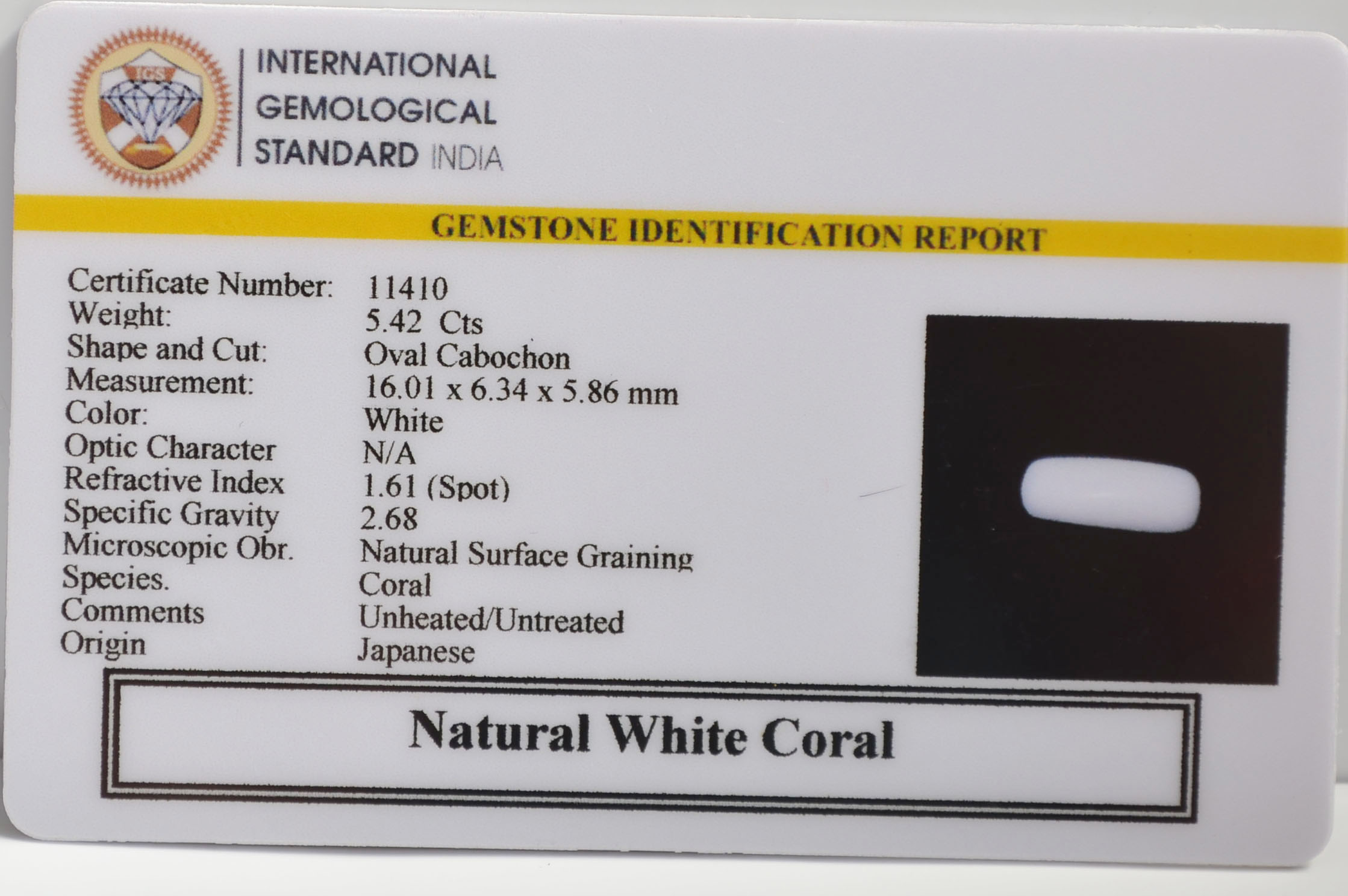 WC435 2 WHITE CORAL 5.42 Ct.