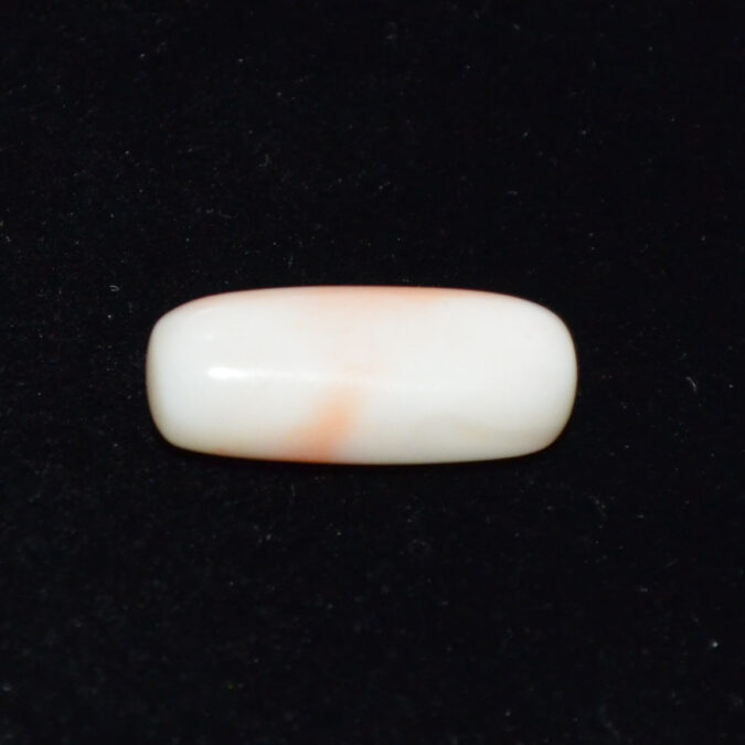 WHITE CORAL 6.98 Ct. 1 WC436 1 WHITE CORAL 6.98 Ct.