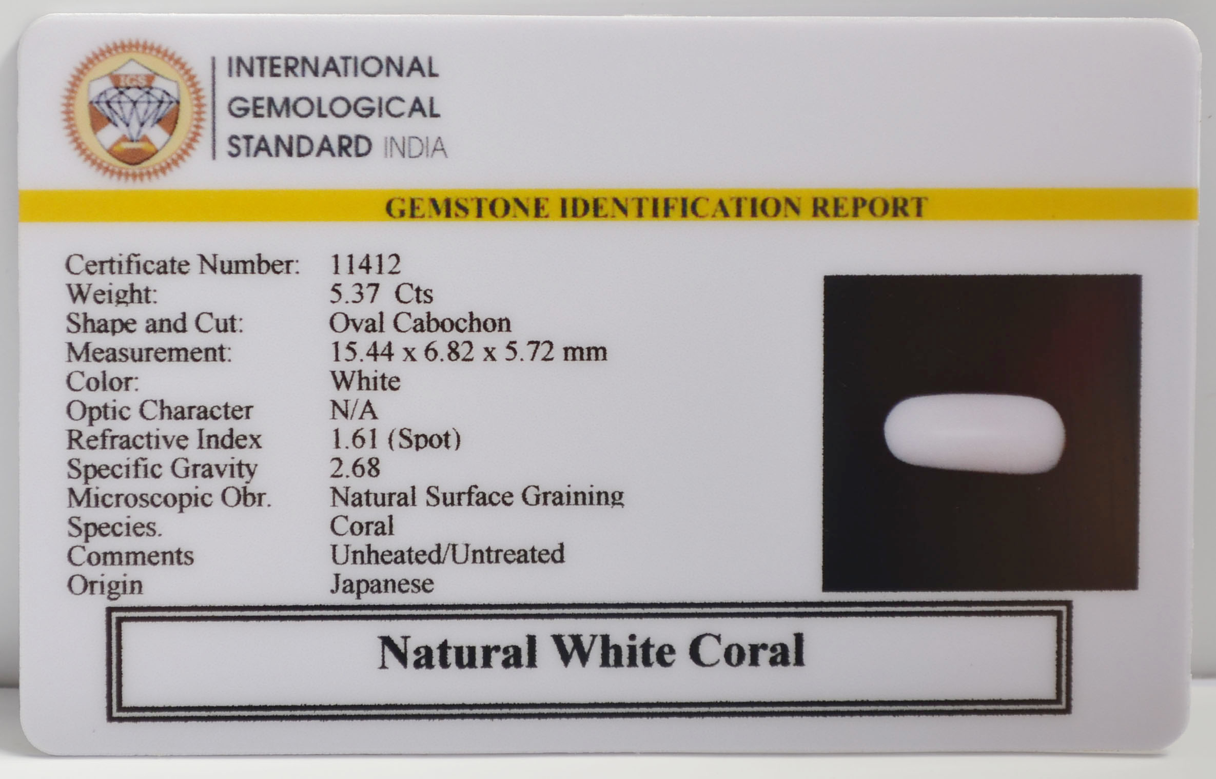 WC437 2 WHITE CORAL 5.37 Ct.