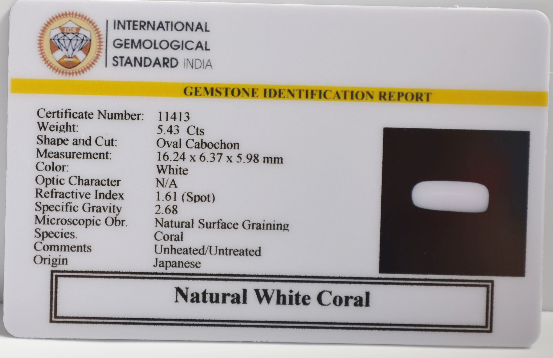 WC438 2 WHITE CORAL 5.43 Ct.