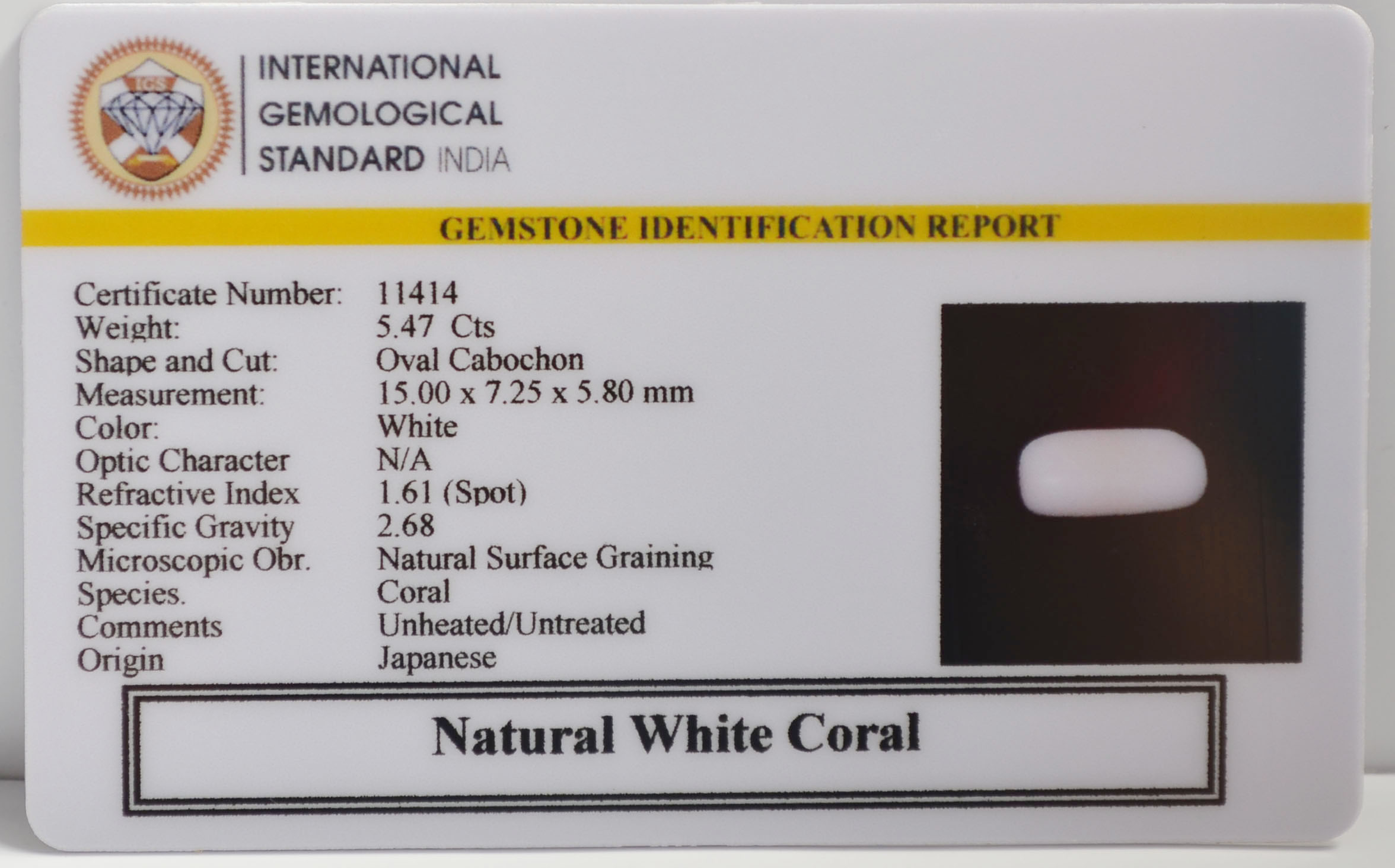 WC439 2 WHITE CORAL 5.47 Ct.