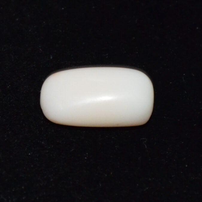 WC441 1 WHITE CORAL 6.61 Ct.