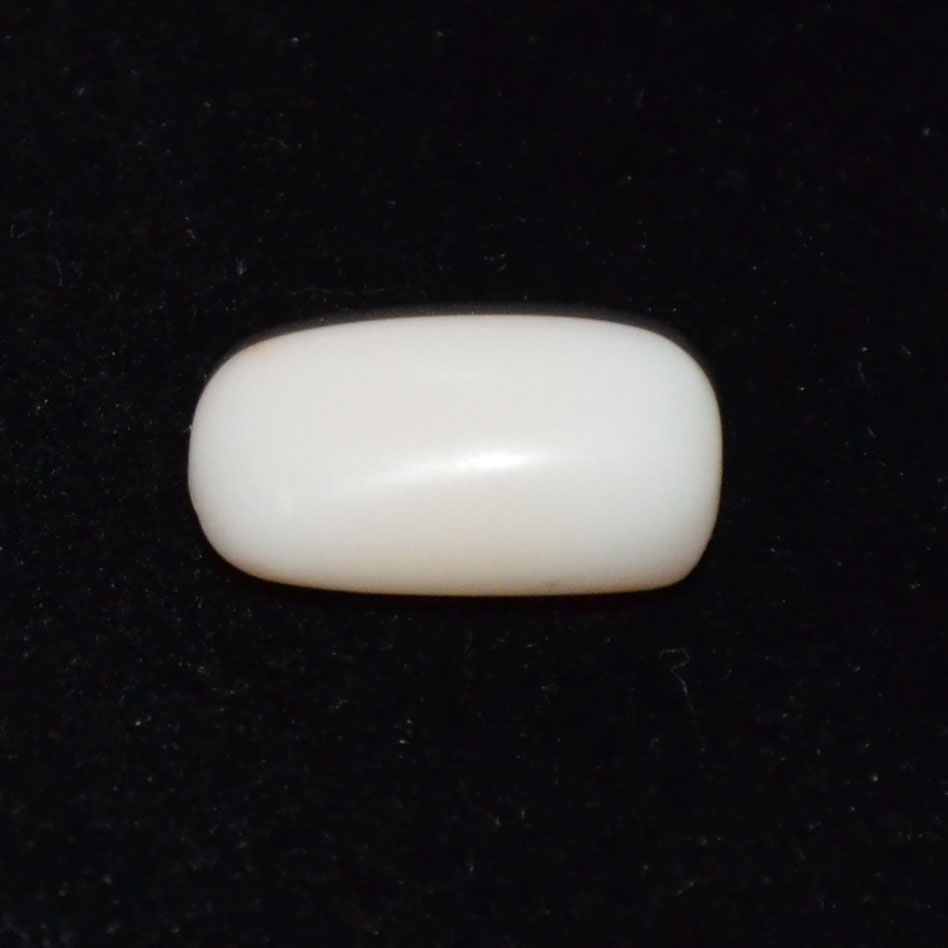WHITE CORAL 6.61 Ct.