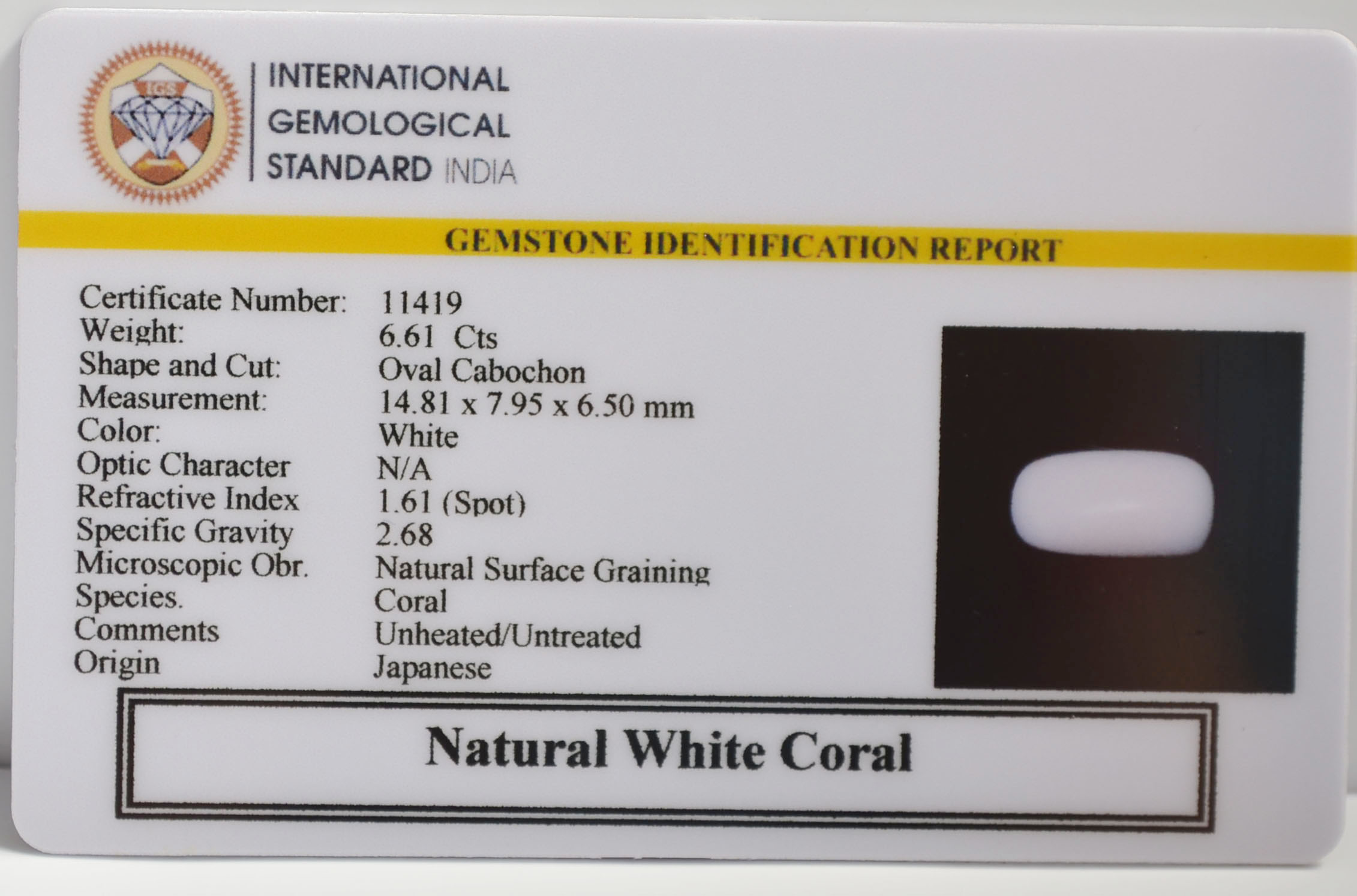 WC441 2 WHITE CORAL 6.61 Ct.