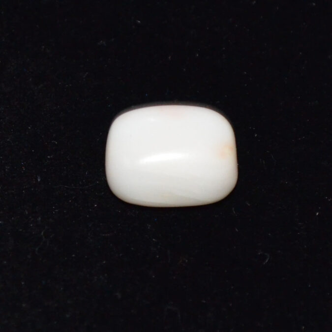 WC442 1 WHITE CORAL 6.7 Ct.