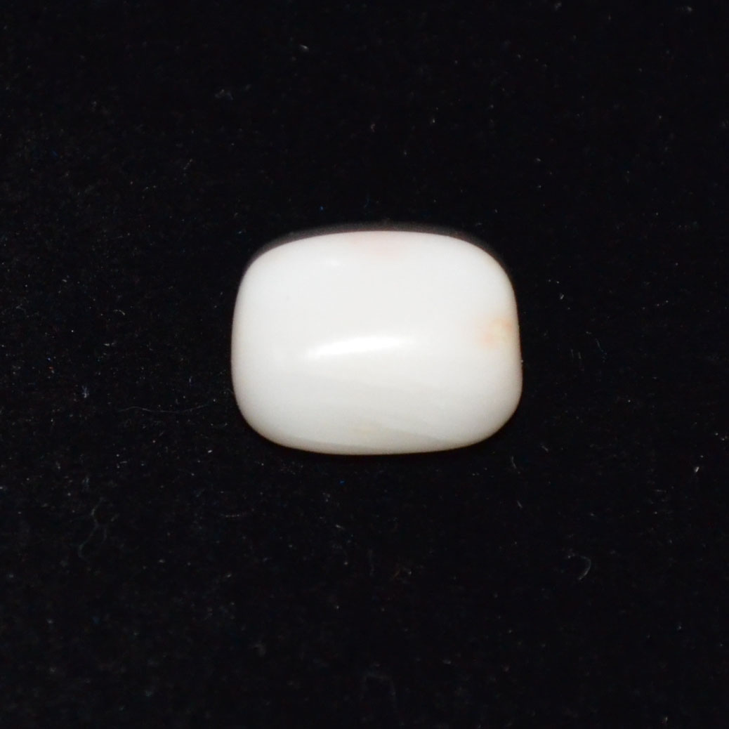 WHITE CORAL 6.7 Ct.