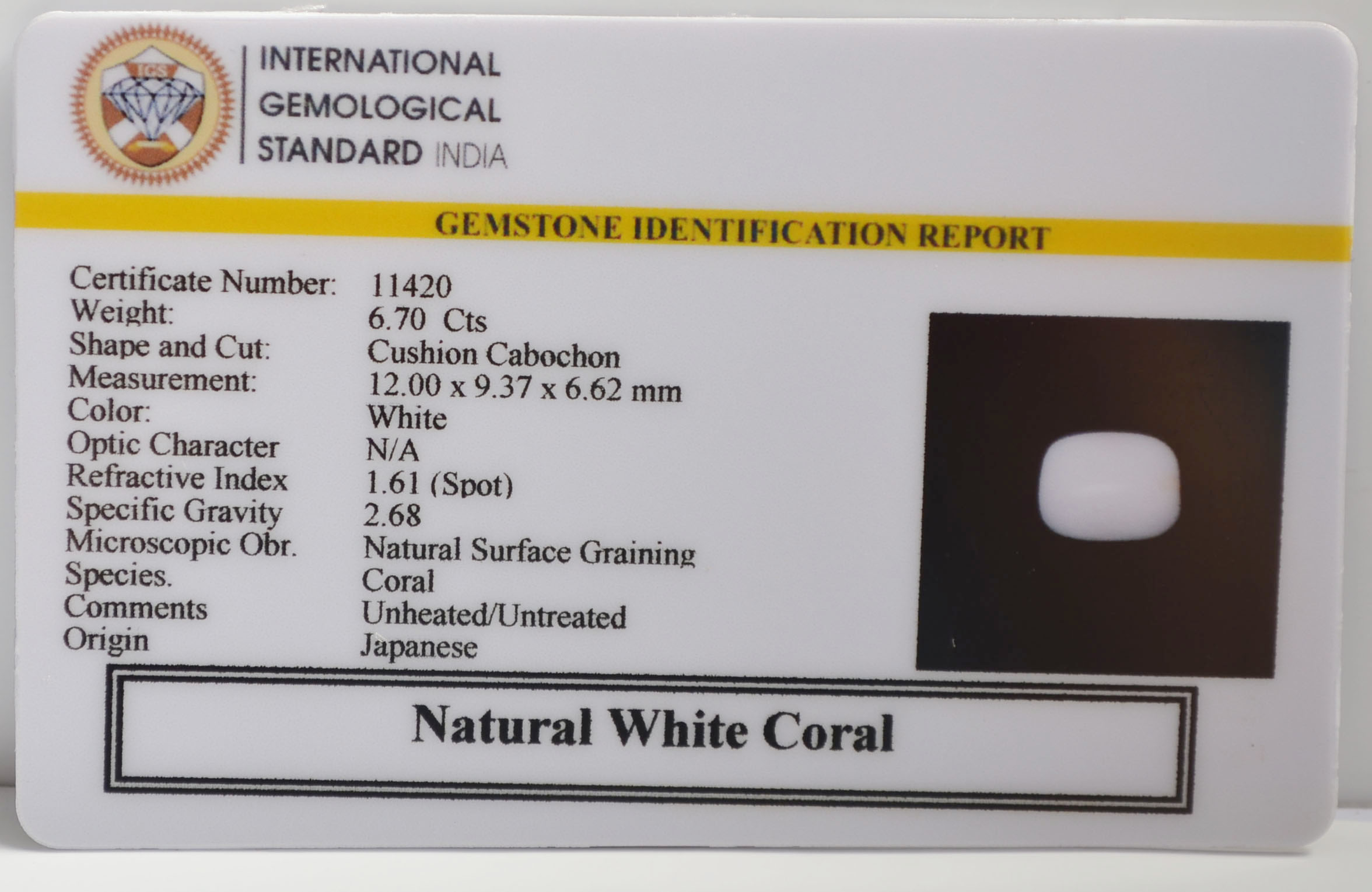 WC442 2 WHITE CORAL 6.7 Ct.