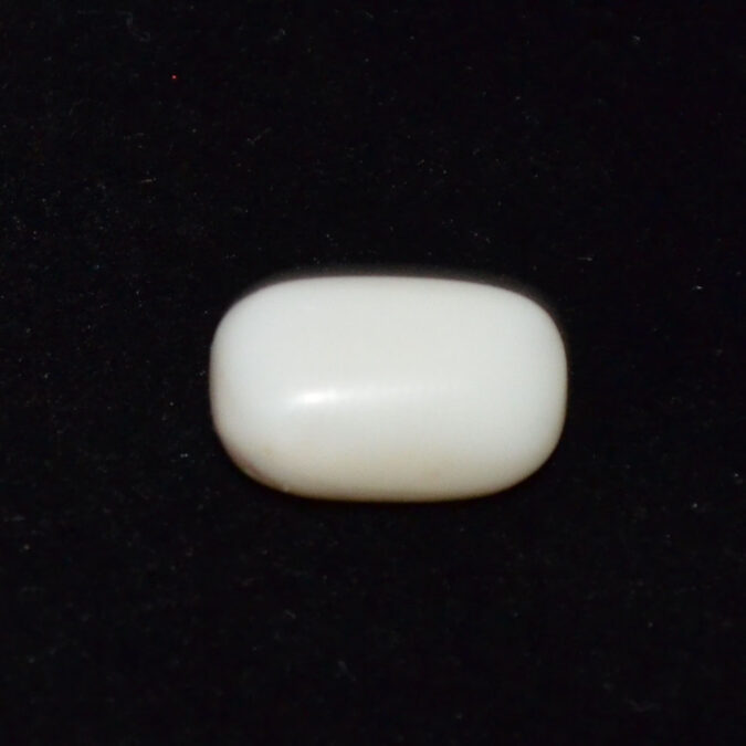 WC443 1 WHITE CORAL 5.62 Ct.