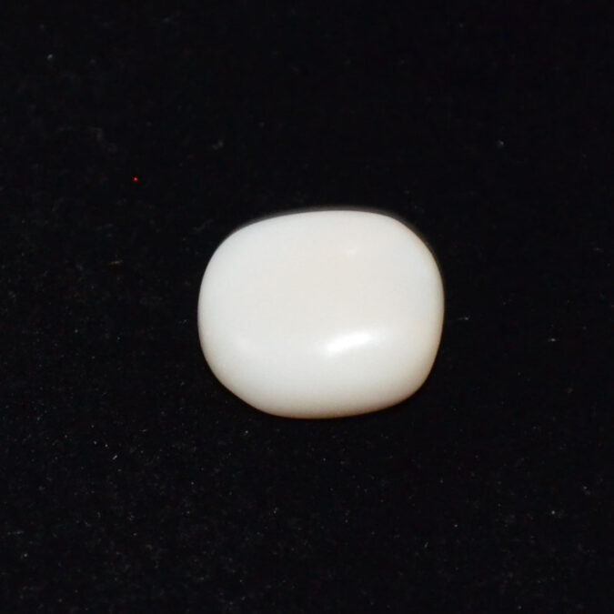 WC444 1 WHITE CORAL 5.07 Ct.