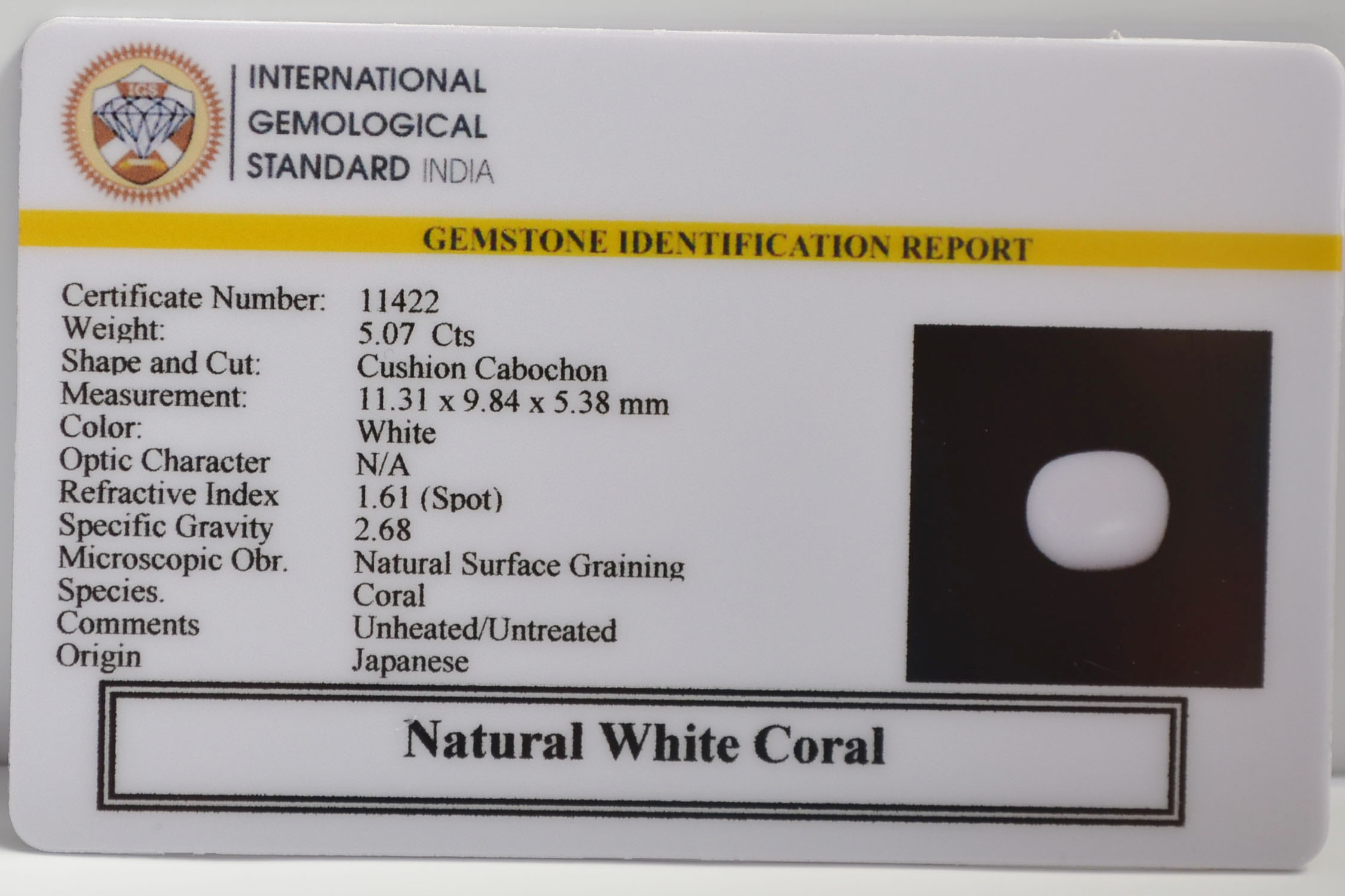 WC444 2 WHITE CORAL 5.07 Ct.