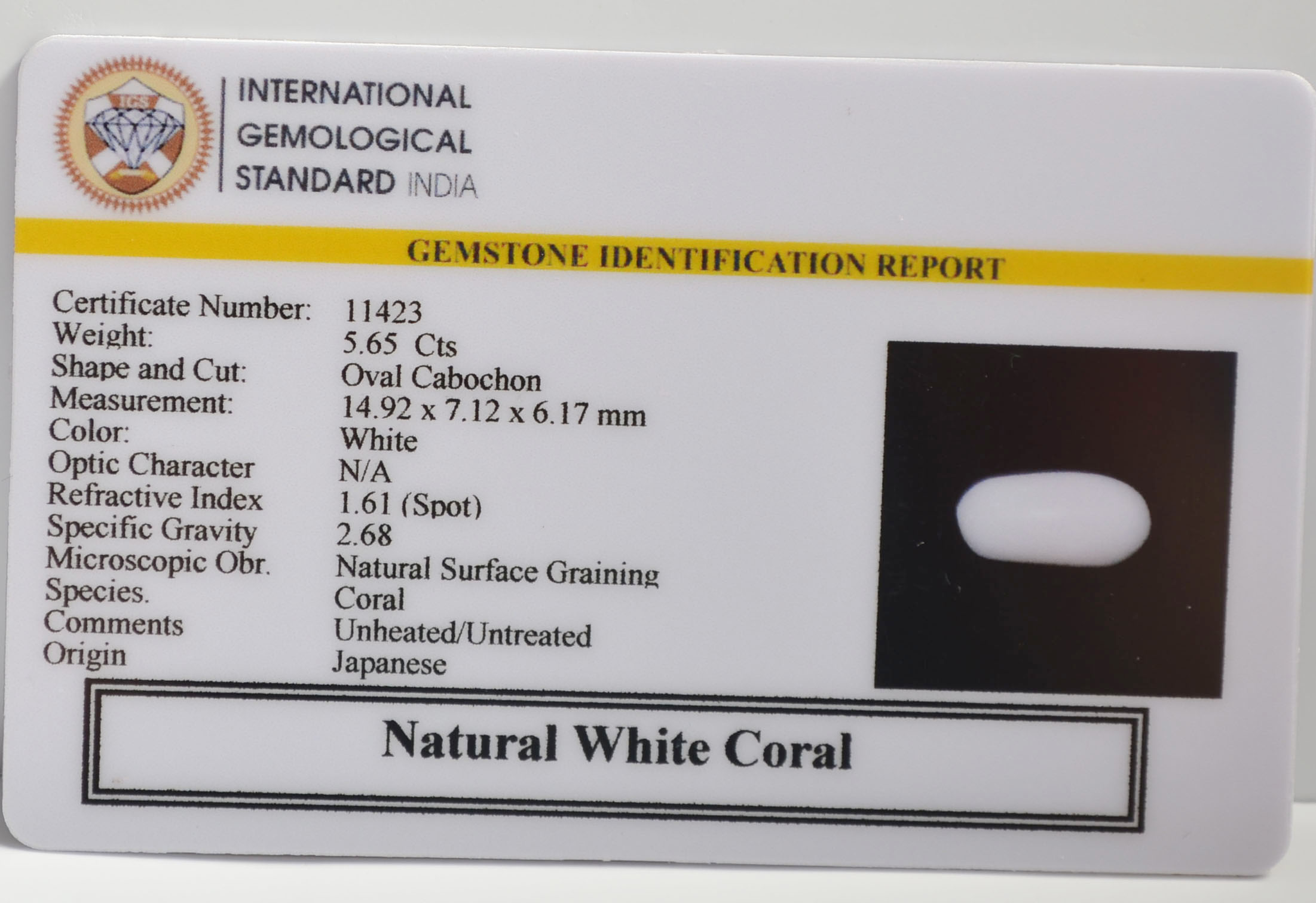 WHITE CORAL 5.65 Ct. 3 WC445 2 WHITE CORAL 5.65 Ct.