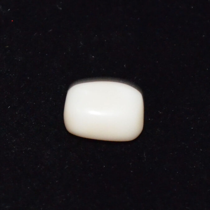WC446 1 WHITE CORAL 5.65 Ct.