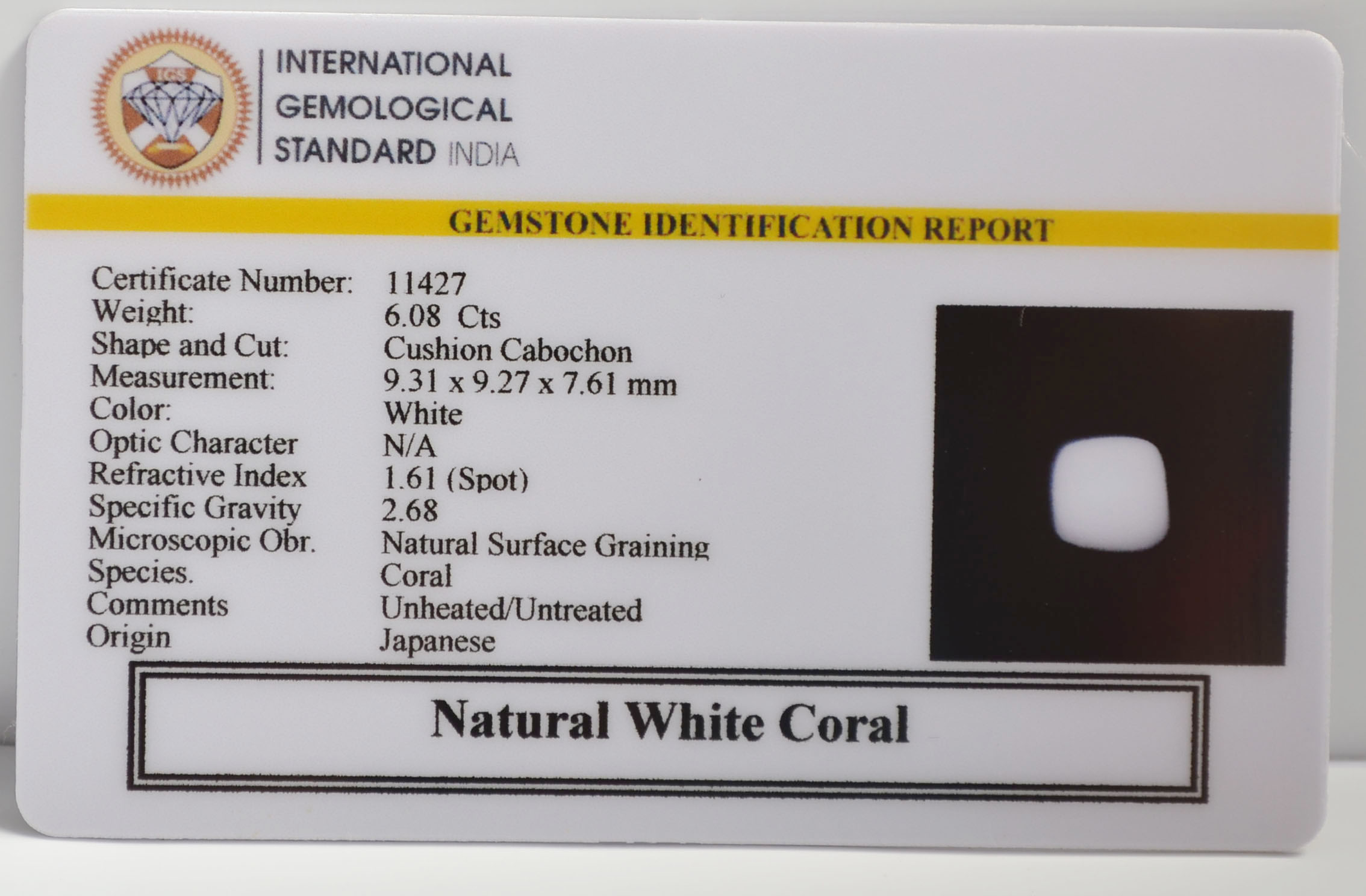 WC447 2 WHITE CORAL 6.08 Ct.