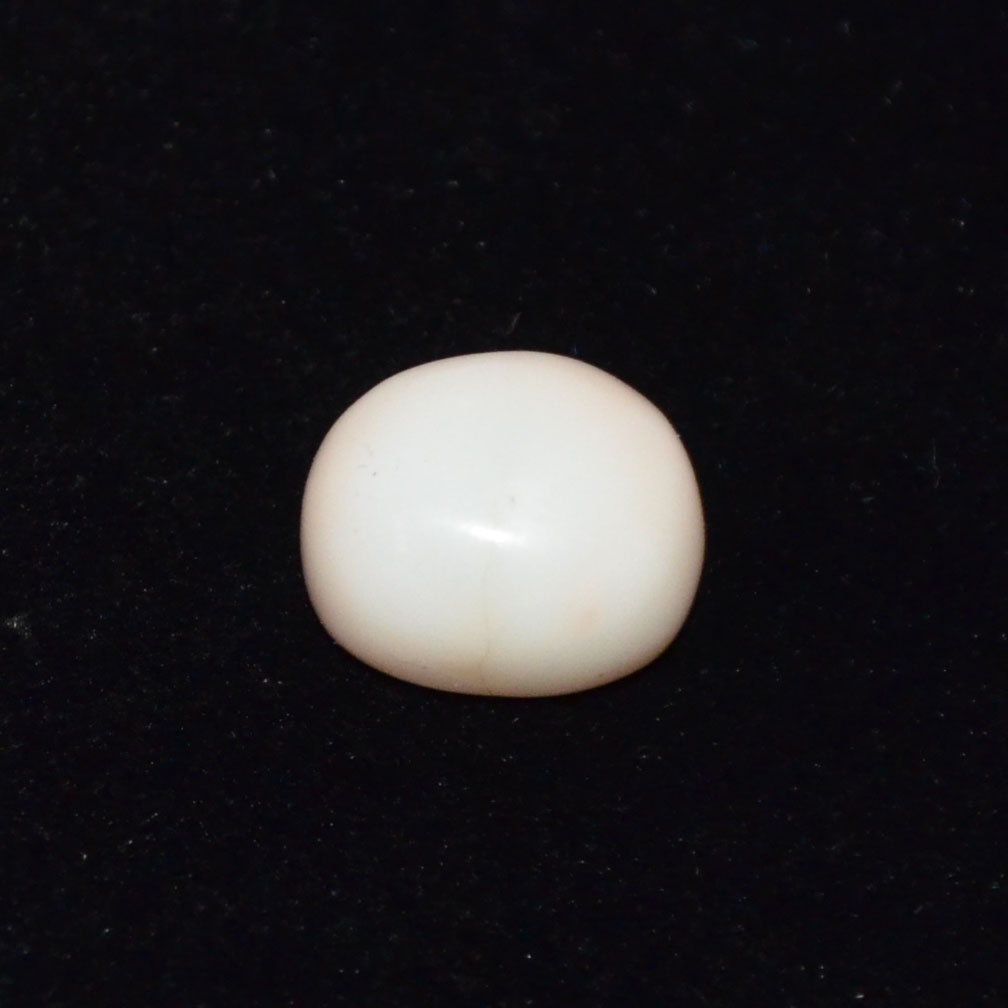 WHITE CORAL 6.65 Ct.