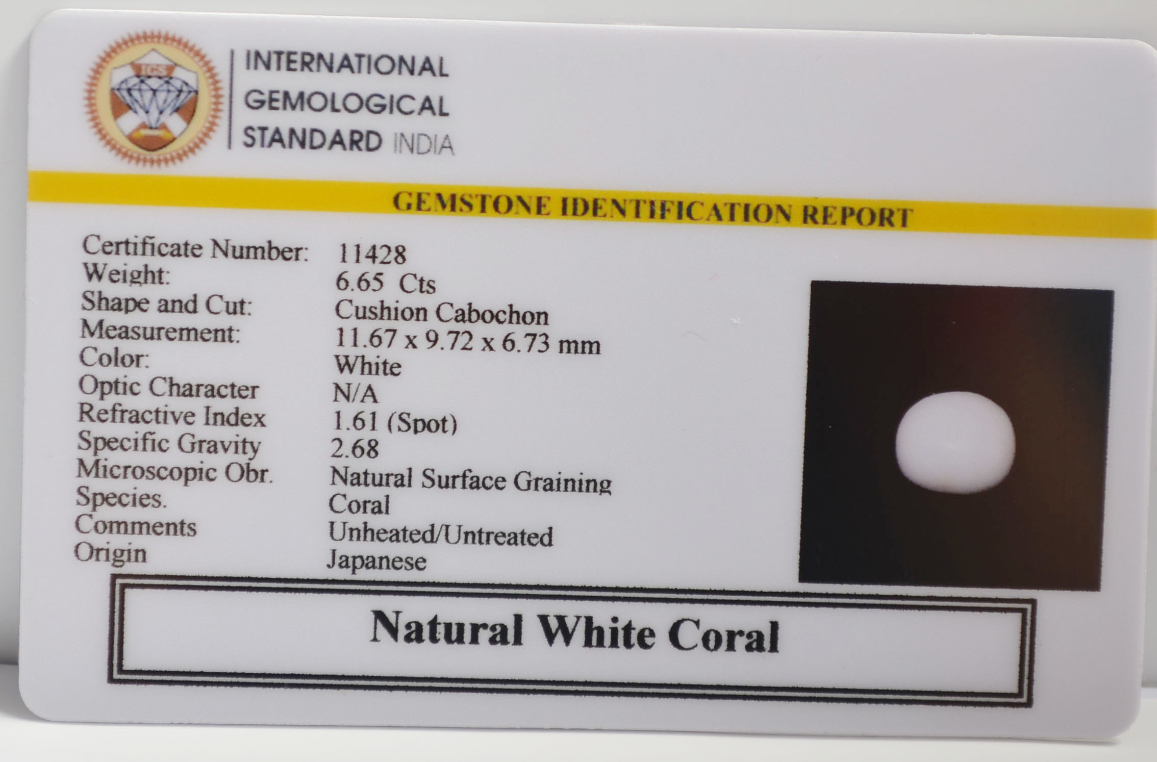 WHITE CORAL 6.65 Ct. 3 WC448 2 WHITE CORAL 6.65 Ct.
