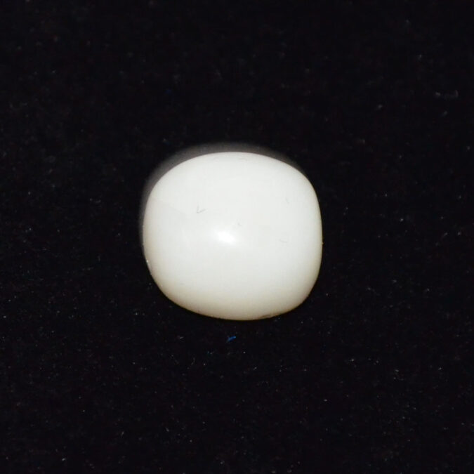 WHITE CORAL 6.62 Ct. 1 WC449 1 WHITE CORAL 6.62 Ct.