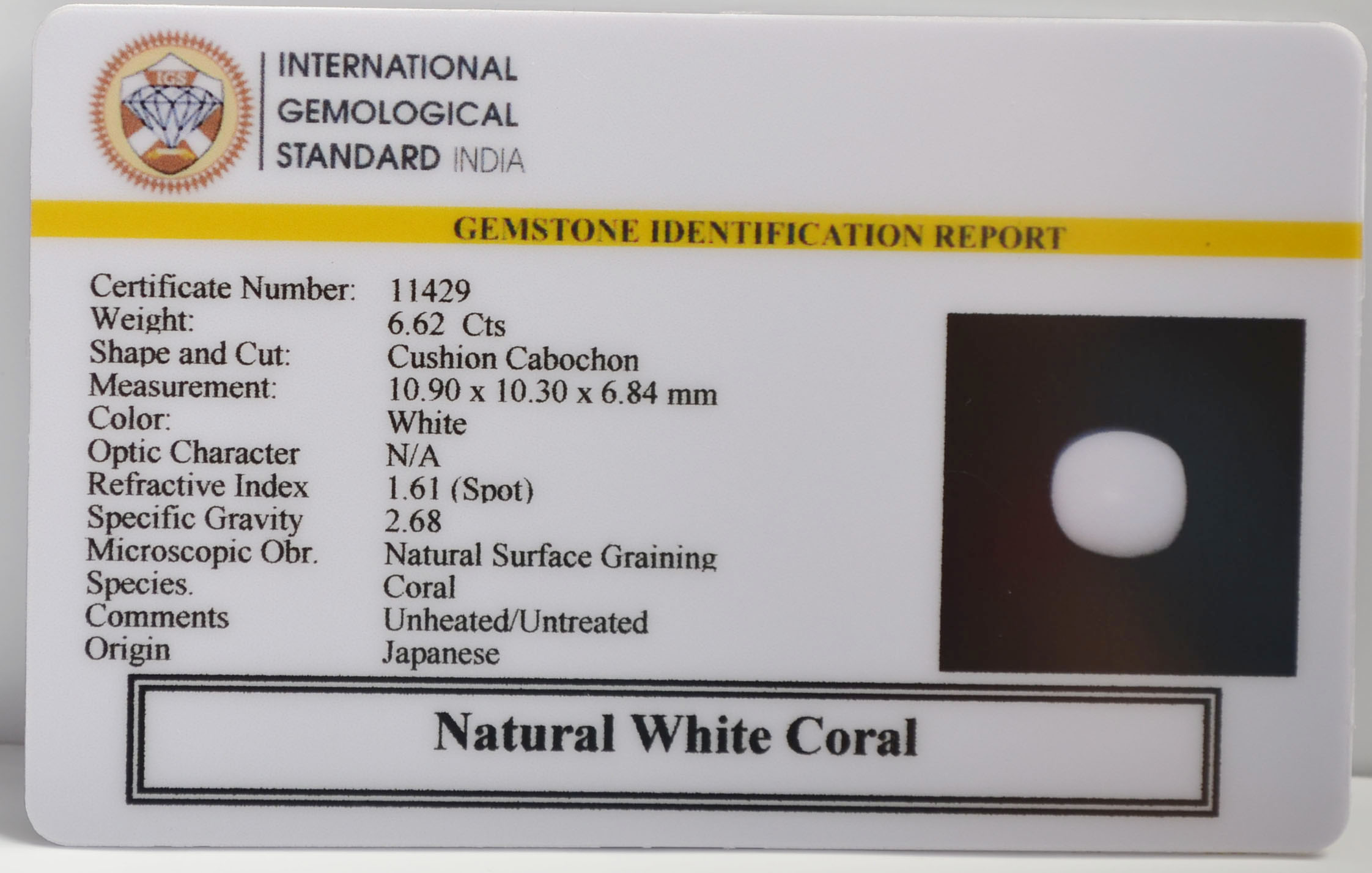WHITE CORAL 6.62 Ct. 3 WC449 2 WHITE CORAL 6.62 Ct.
