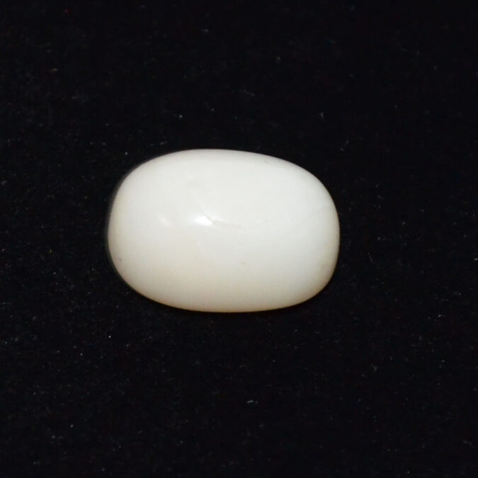 WC450 1 WHITE CORAL 9.84 Ct.