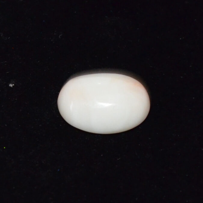 WC451 1 WHITE CORAL 5.27 Ct.