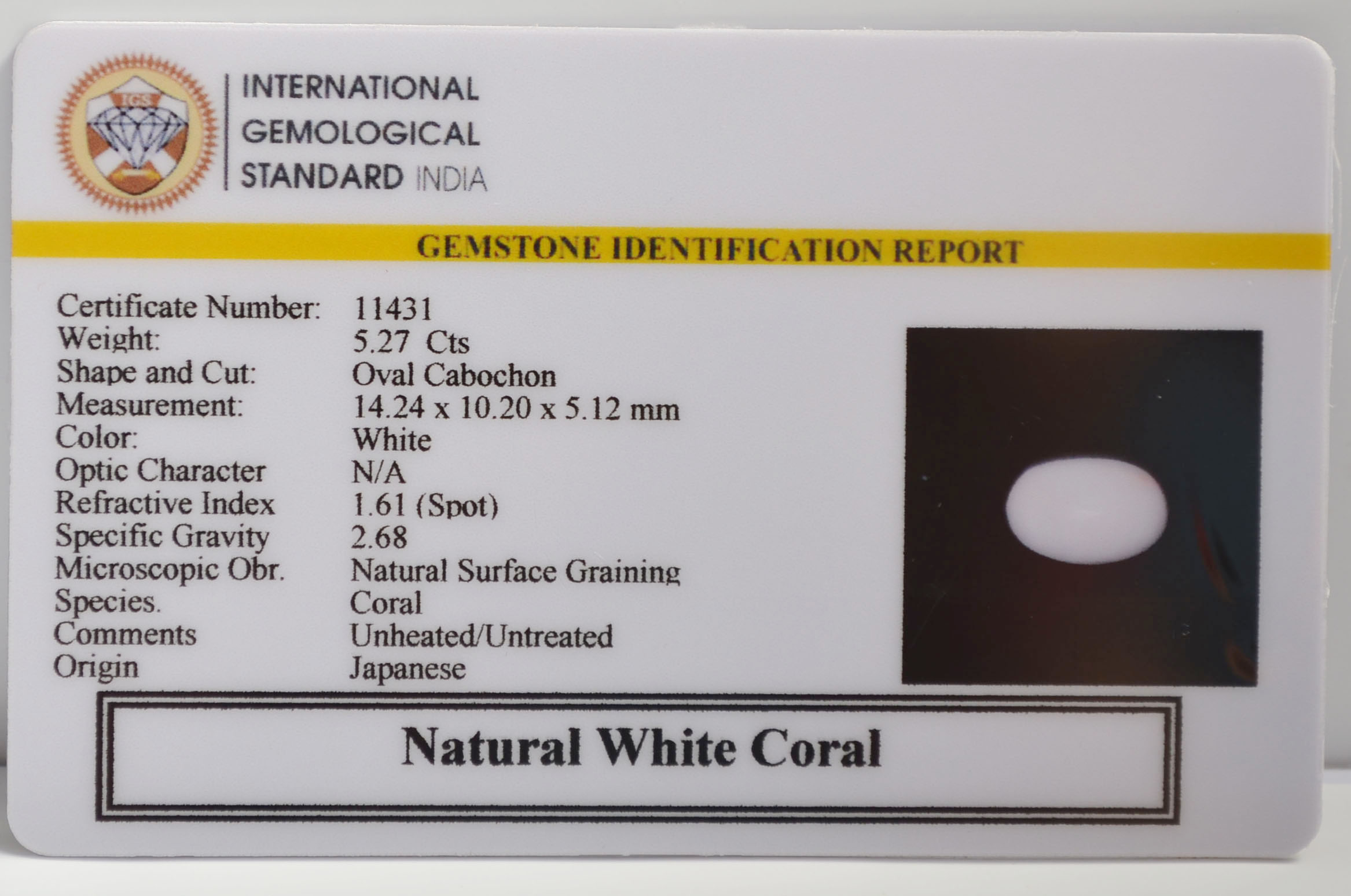 WC451 2 WHITE CORAL 5.27 Ct.