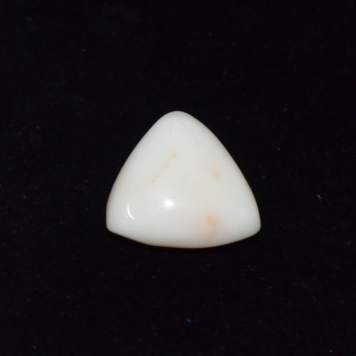 WHITE CORAL 13.22 Ct.