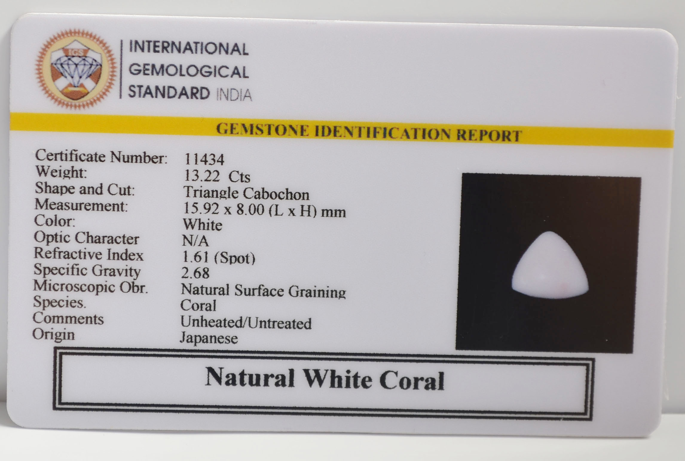 WC452 2 WHITE CORAL 13.22 Ct.