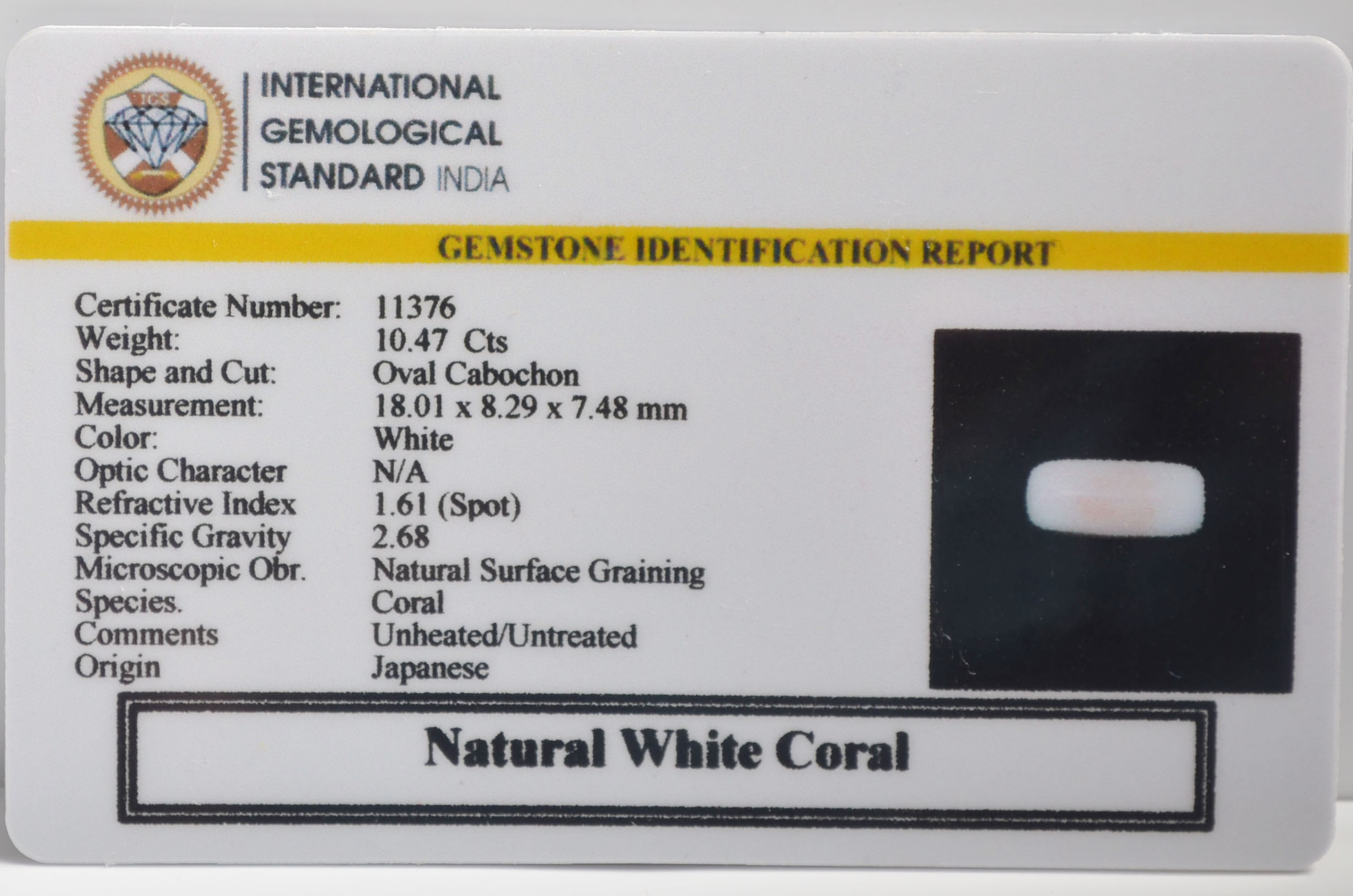 WCG392 2 WHITE CORAL 10.47 Ct.