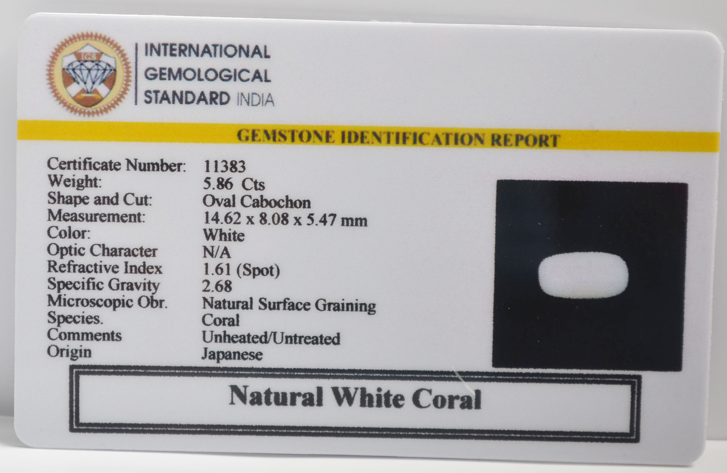 WHITE CORAL 5.86 Ct. 3 WCG395 2 WHITE CORAL 5.86 Ct.