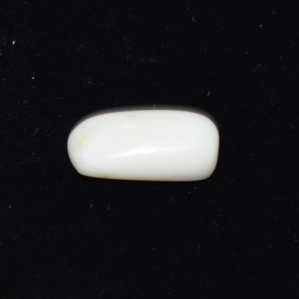 WHITE CORAL 5.98 Ct.