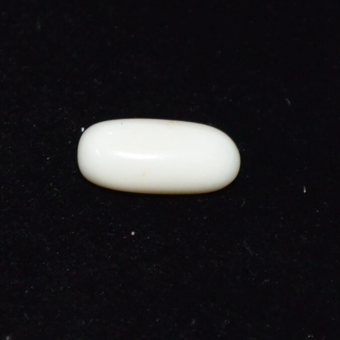 WCG398 1 WHITE CORAL 5.88 Ct.
