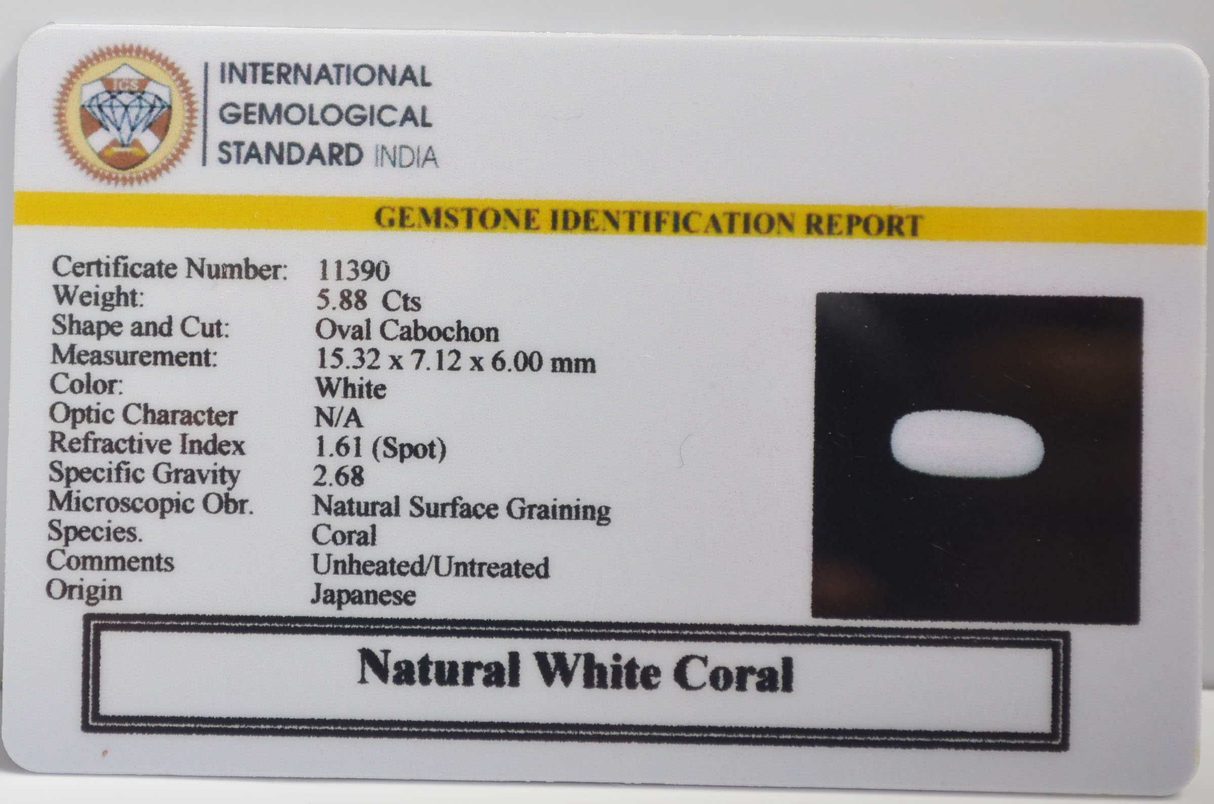 WCG398 2 WHITE CORAL 5.88 Ct.