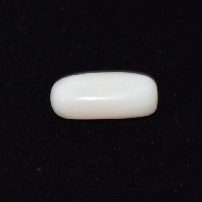 WCG399 1 WHITE CORAL 7.9 Ct.