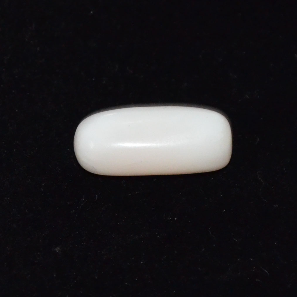 WHITE CORAL 7.9 Ct.
