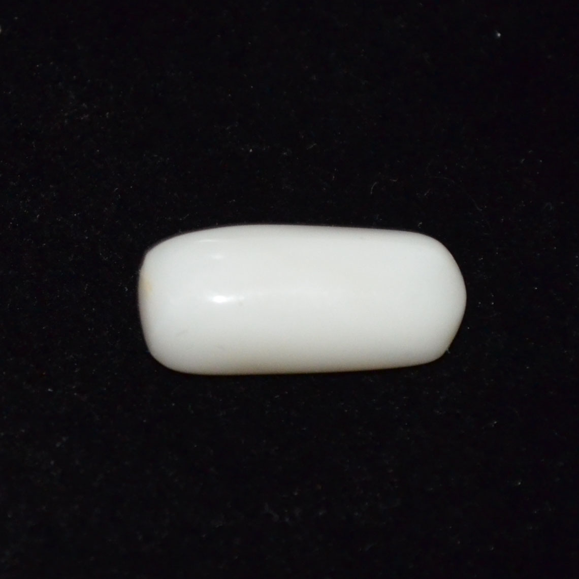 WHITE CORAL 7.52 Ct.
