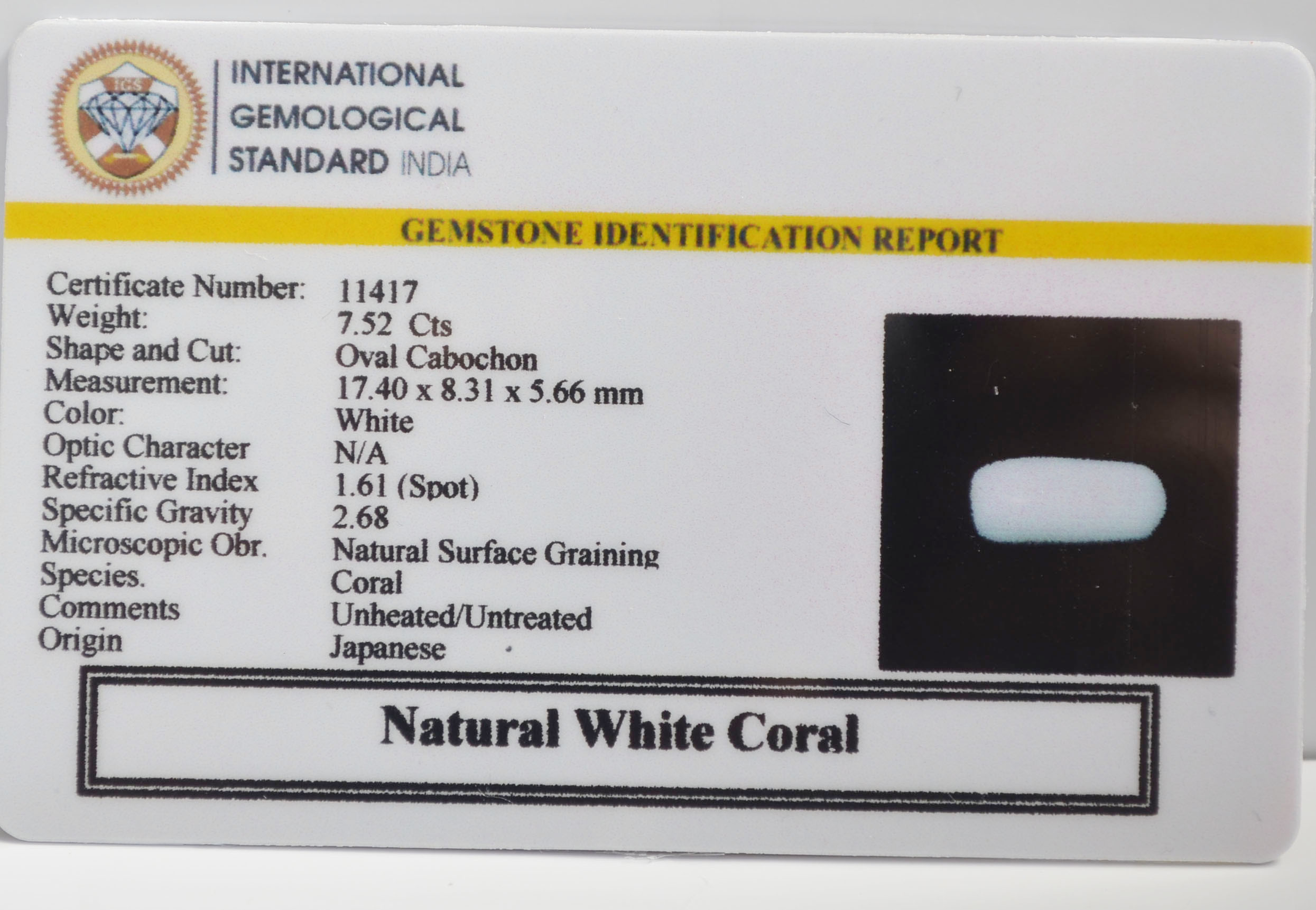 WHITE CORAL 7.52 Ct. 3 WCG403 2 WHITE CORAL 7.52 Ct.