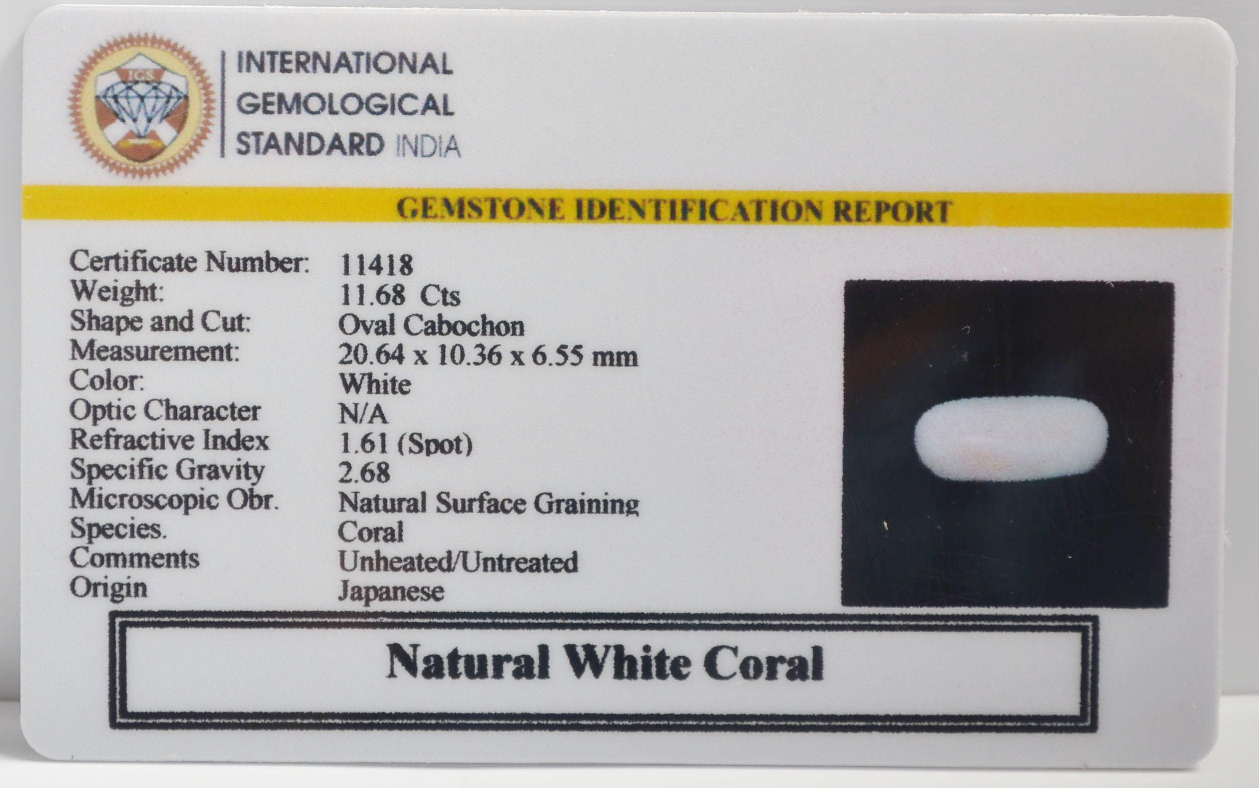 WCG404 2 WHITE CORAL 11.68 Ct.