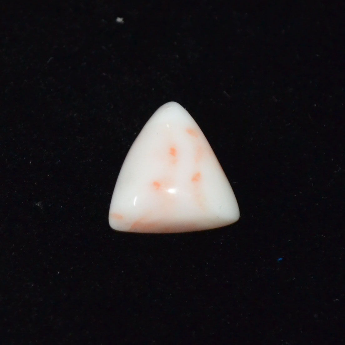 WHITE CORAL 6.9 Ct.