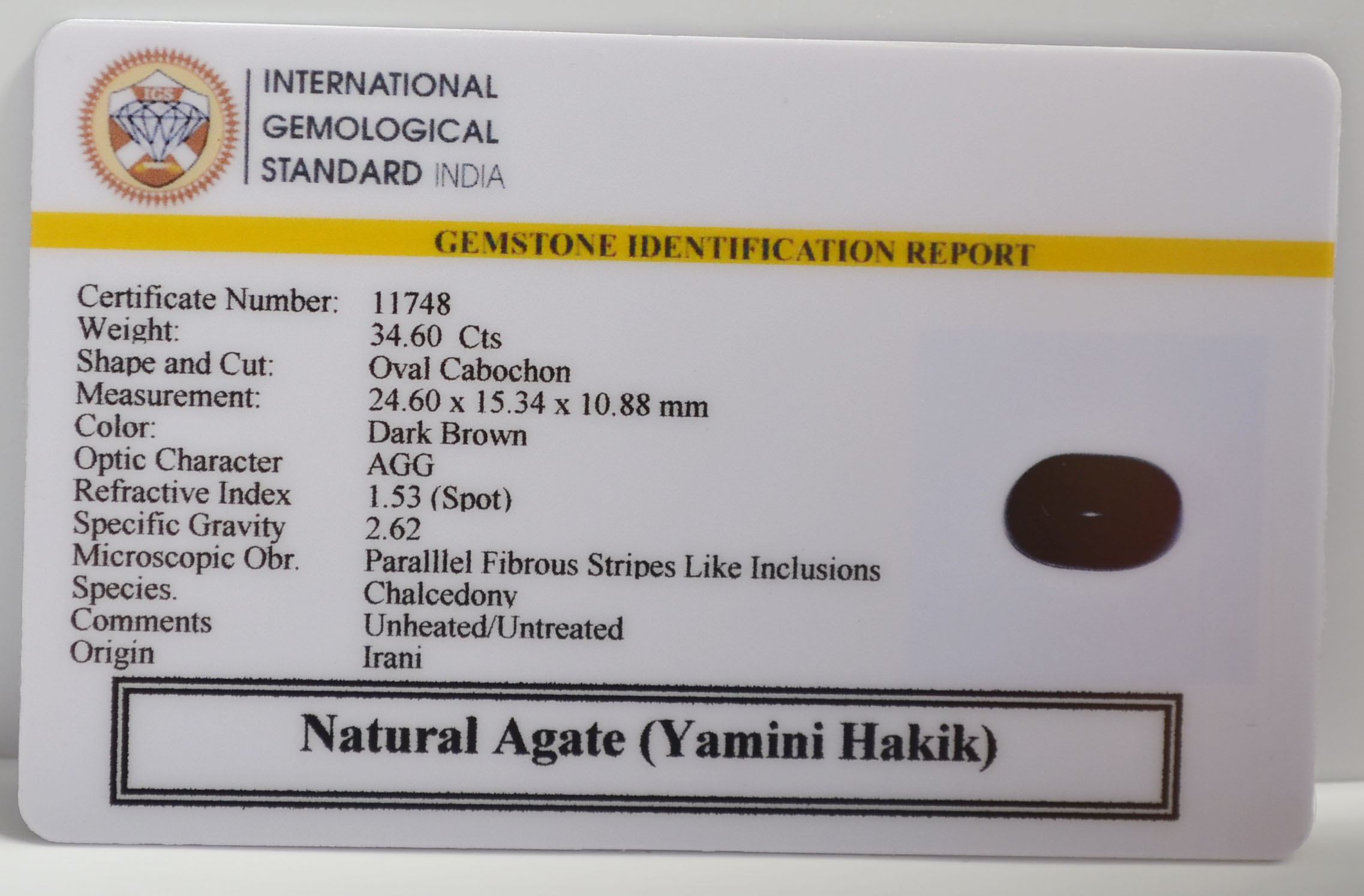 YAMG10 2 YAMINI HAKIK 34.6 Ct.