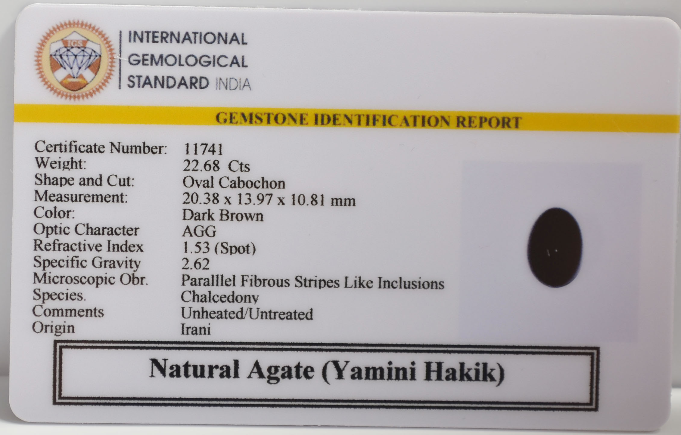 YAMINI HAKIK 22.68 Ct. 3 YAMG7 2 YAMINI HAKIK 22.68 Ct.