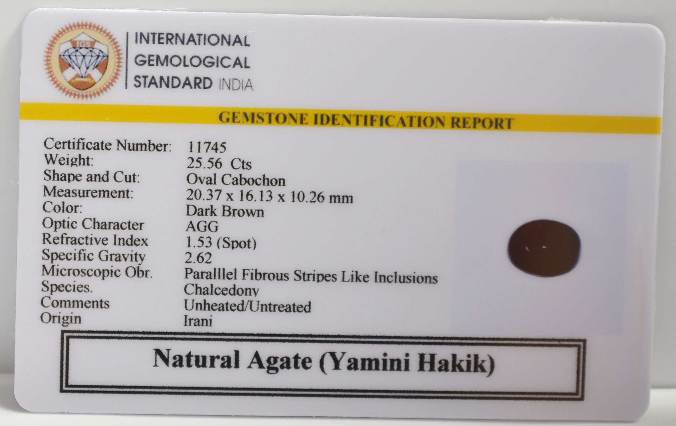 YAMG9 2 YAMINI HAKIK 25.56 Ct.