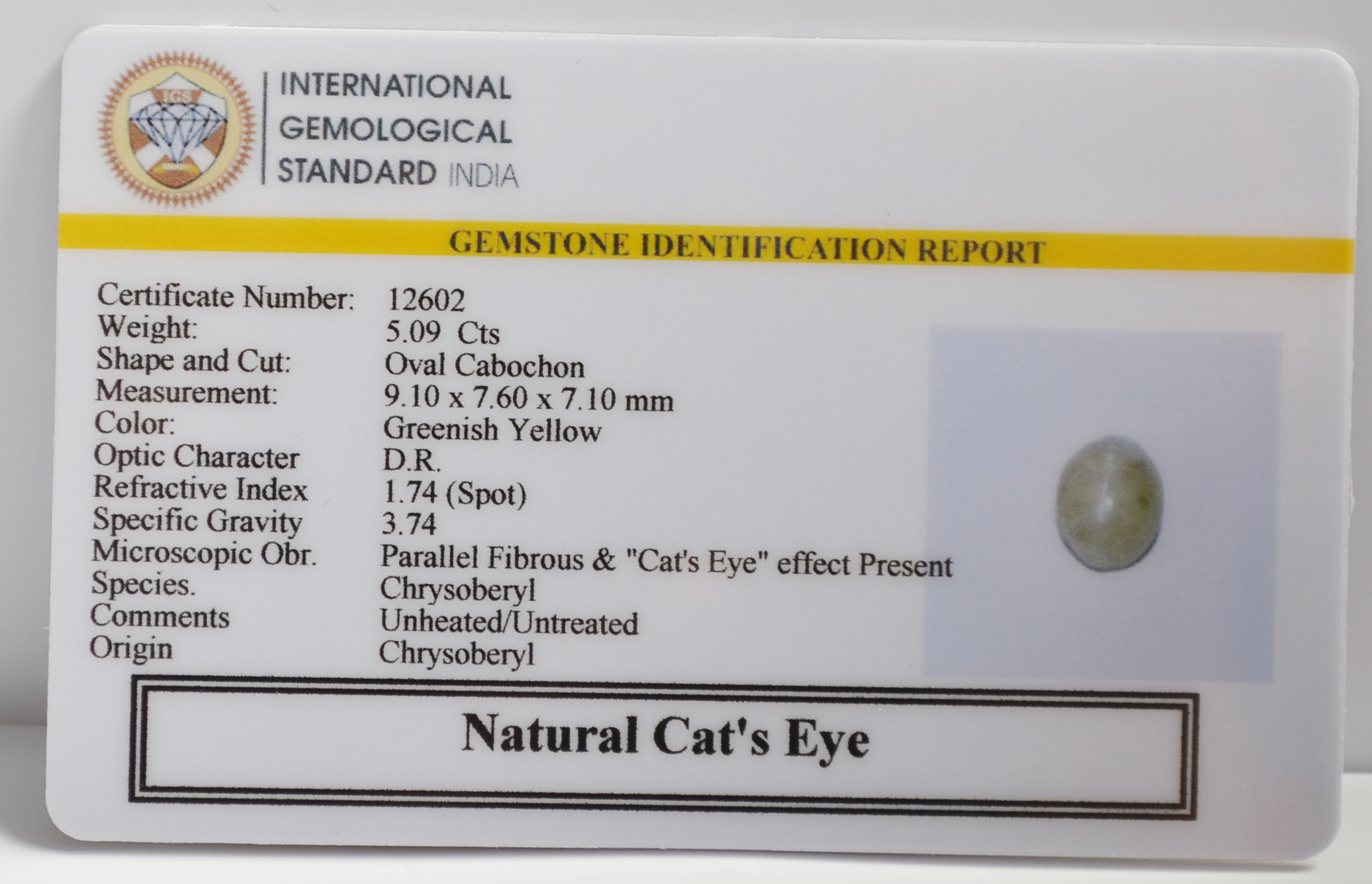 CE2870 2 CATS EYE 5.09 Ct.